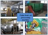 Palm kernel oil pressing machine | palm kernel oil pressing production line